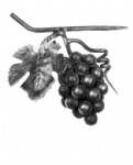 Forged grape